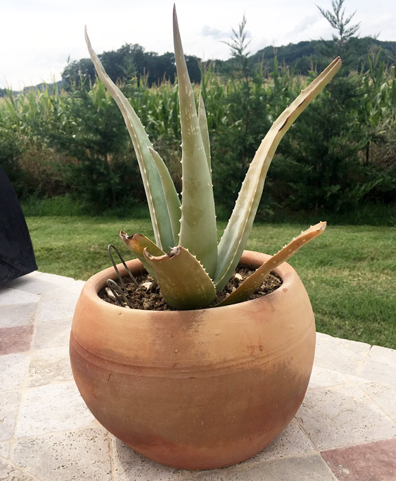 poterie orientale