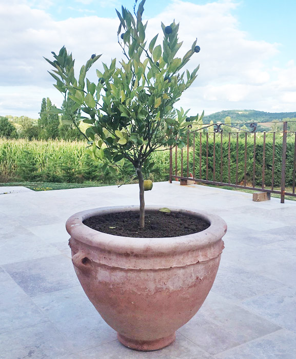 poterie orientale